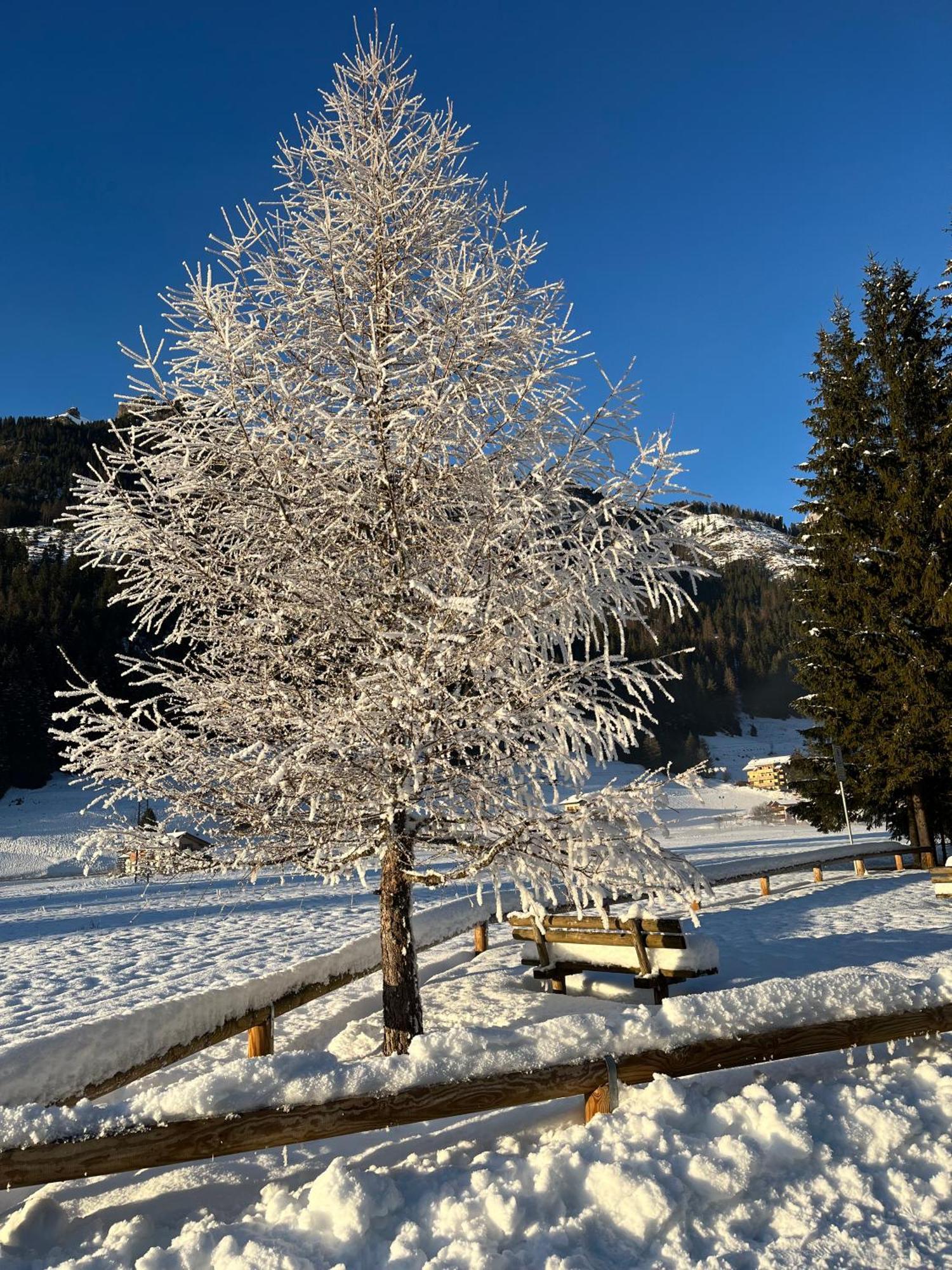 Mes Lastei Apartment Campitello di Fassa Exterior foto